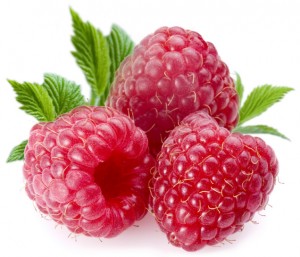 raspberry ketones help fat cells shrink