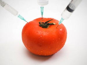 Genetically Modified Foods - Do You Know What You're Eating?