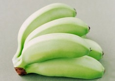 Green Bananas are an excellent starch resistant food 