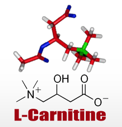 Paradox of L-Carnitine: It May Both Help and Hurt Your Heart